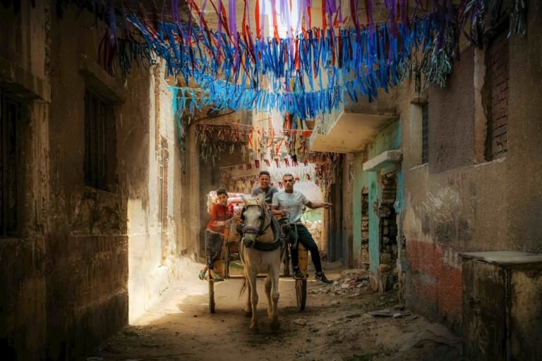 Assistant Principal salary in Cairo - Photo by Matthew Stephenson on Unsplash