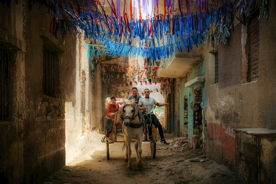 Assistant Principal salary in Cairo - Photo by Matthew Stephenson on Unsplash